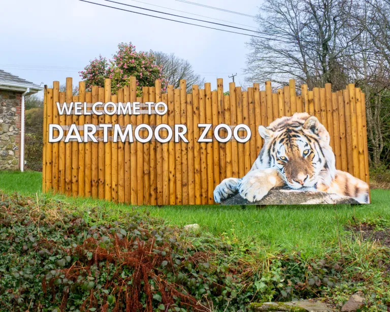 The Welcome to Dartmoor Zoo entrance sign, with a painted tiger