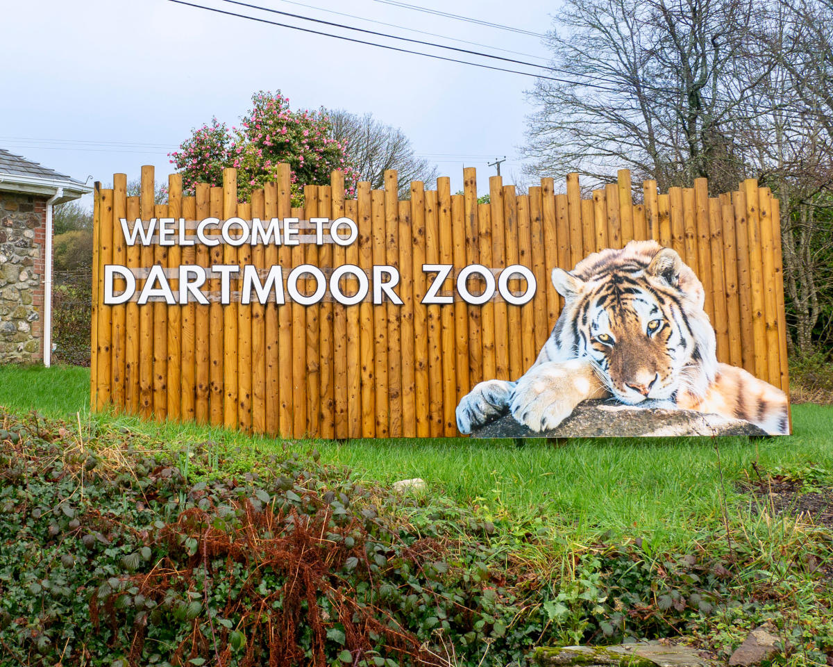 The Welcome to Dartmoor Zoo entrance sign, with a painted tiger