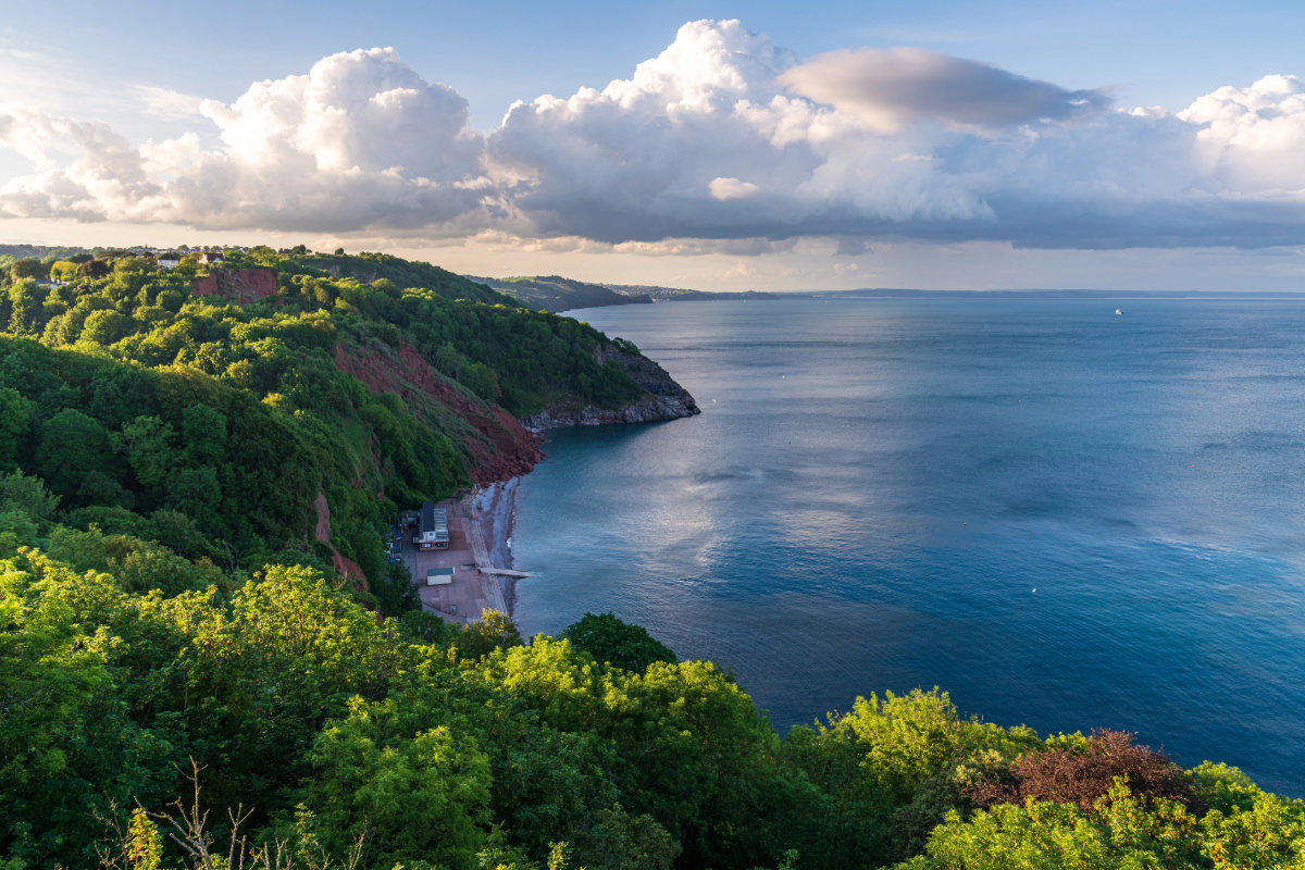 Wooded headland and sea views across Torbay